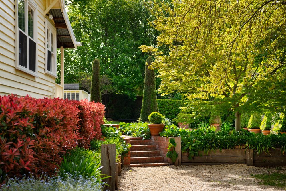 Discover Hepburn Springs Pure Nature